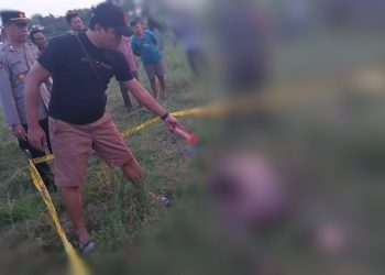 Jasad Gadis Telanjang Ditemukan di Kebun Tebu di Jombang