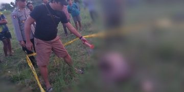 Polisi melakukan olah TKP penemuan mayat di kebun tebu. Foto: Bacaini/Syailendra