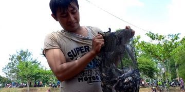 Salah seorang peserta menunjukan hasil tangkapan ikan dari pladu. Foto: Bacaini/Setiawan