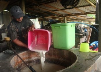 Harga Kedelai Naik Lagi, Produsen Tahu Pusing Lagi