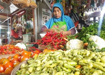 Sempat Naik, Harga Bahan Pokok di Trenggalek Mulai Turun