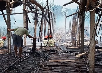 Apes, Kandang Ayam Warga Jombang Ludes Terbakar