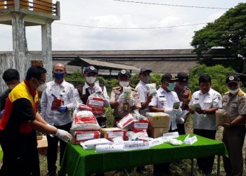 Karantina Pertanian Surabaya Musnahkan Benih Impor Ilegal