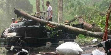 Pohon tumbang menimpa mobil di jalan raya Malang-Kediri. Foto: Ist
