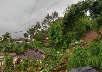 Longsor di Tulungagung, 3 Korban Meninggal Dunia