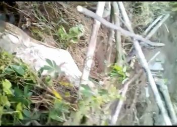 Video Viral Jenazah Keluar dari Kubur di Tulungagung Bikin Heboh