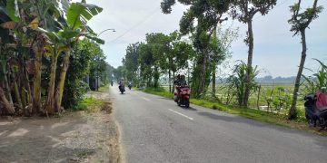 Jalan di Kecamatan Karangrejo, yang diperkirakan terdampak pembangunan jalan Tol Kediri-Tulungagung. Foto: Bacaini/Setiawan