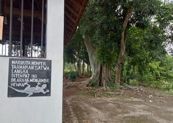 Kisah Tokek Keramat di Makam Kedungwinong Jombang