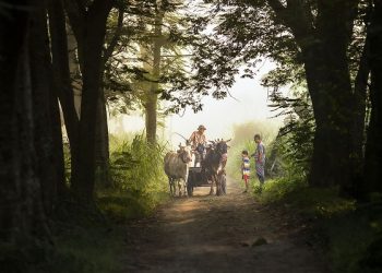 Misteri Hantu Cikar di Kuburan Kandat Kediri