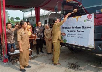 Tingkatkan Nilai Jual, Nanas Kabupaten Kediri Diekspor ke Oman