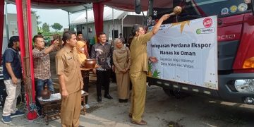 Pemberangkatan nanas ke Oman dari Gapoktan Kecamatan Wates. Foto: Ist