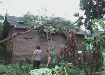 Diterjang Angin Ribut, Sekolah dan Rumah Warga Jombang Rusak Berat