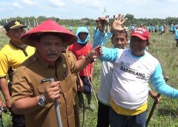 Petani di Nganjuk Ikut Lomba Berburu Tikus Berhadiah