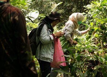 Mahasiswa ITS Ciptakan Sistem Digital Pengawasan Hutan Sumber Pawon