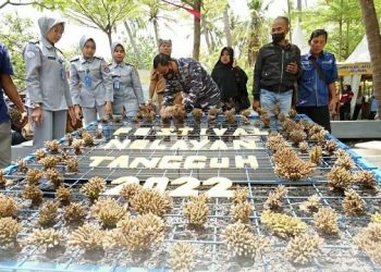 Gelar Festival Nelayan Tangguh, Banyuwangi Pamerkan Potensi Perikanan