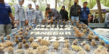 Festival Nelayan Tangguh 2022 di Kabupaten Banyuwangi. Foto: Ist