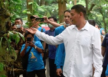 Konservasi Anggrek Hutan Kota Joyoboyo Diharapkan Jadi Sarana Edukasi