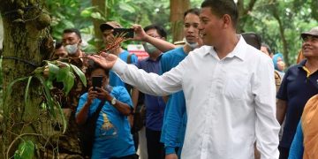 Wali Kota Kediri, Abdullah Abu Bakar saat kegiatan konservasi anggrek di Hutan Kota Joyoboyo. Foto: Ist