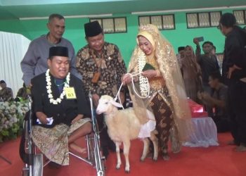 Heboh Pengantin Pria di Jombang Bawa Kambing Buat Mahar