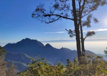 Eksotisme Pendakian Gunung Wilis dari Jalur ‘Perawan’ Tulungagung