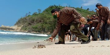 Pelepasan tukik di Pantai Sanggar Tulungagung. Foto: Bacaini/Setiawan