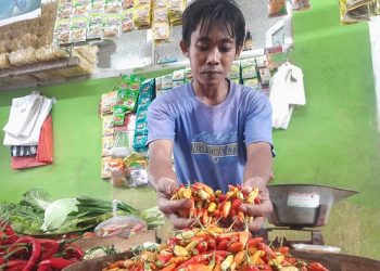 Usai Momen Tahun Baru, Harga Cabai di Trenggalek Lebih Mahal