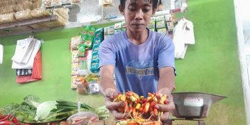 Yudi menunjukkan stok cabai di lapak dagangnya di Pasar Basah, Trenggalek. Foto: Bacaini/Aby