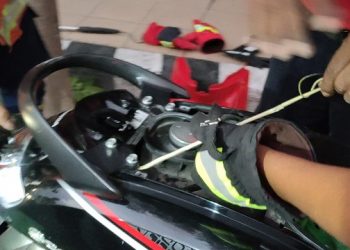 Bikin Panik, Ular Air Gerayangi Lengan Pemotor di Kediri