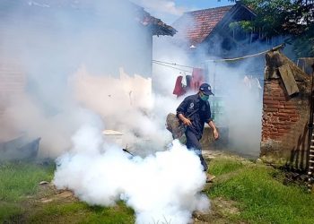 Antisipasi Sebaran Chikungunya, Dinkes Tulungagung Lakukan Fogging