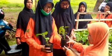DKPP Kota Kediri bagikan bibit sayur di SD Negeri Kota Kediri. Foto: Ist