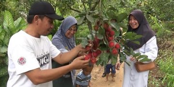 Pengunjung Wisata Kampung Rambutan asal Malaysia. Foto: Bacaini/Asep Bahar