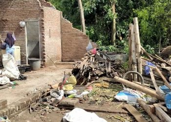 Diterjang Hujan Angin, Warga di Kediri Tewas Tertimpa Pohon