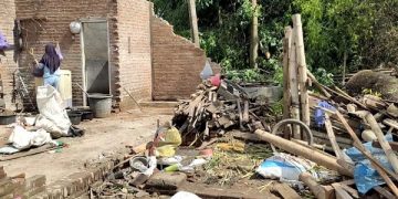 Kondisi rumah dan kandang ternak milik warga rusak tertimpa pohon. Foto: Bacaini/AK.Jatmiko