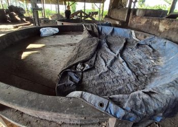 Biaya Operasional Melejit, Puluhan Produsen Gula Merah Gulung Tikar