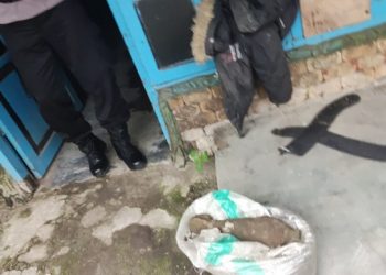 Heboh, Warga Kediri Temukan Bom Mortir Saat Mancing