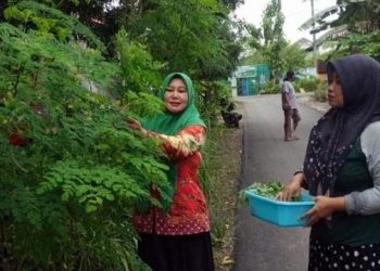 Pentol Kelor, Paduan Unik dan Sehat Khas Balongmojo