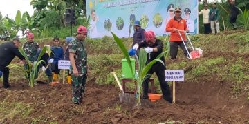 Menteri Pertanian menanam kelapa genjeh di Desa Kanyoran, Kecamatan Semen. Foto: Bacaini/AK.Jatmiko