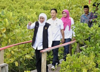 Gubernur Khofifah Tinjau Ekologi di Pesisir Selatan Trenggalek