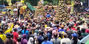 Warga berdesakan, berebut gunungan hasil bumi dan buah durian. Foto: Bacaini/AK.Jatmiko