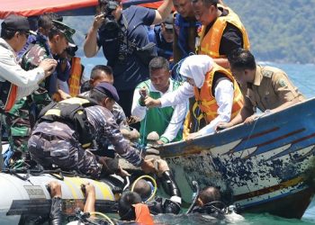 Gubernur Jatim Tanam Terumbu Karang di Trenggalek