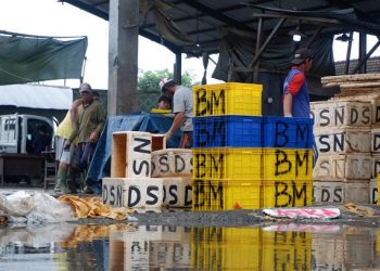 Pemindahan Pasar Ikan Tulungagung Terkendala Biaya