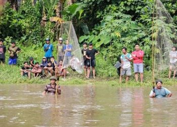 Tips Aman Berburu Ikan Mabuk
