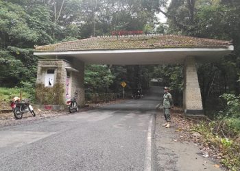 Jadi Tempat Pembuangan Mayat, Jalur Cangar Mojokerto Dikenal Angker