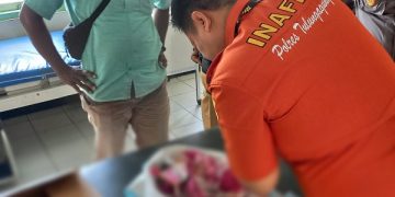 Bayi laki-laki yang ditemukan berada di dalam kardus di area persawahan. Foto: Bacaini/Setiawan