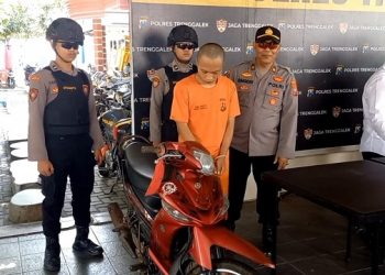 Siswi Kelas 5 SD Disetubuhi Pemuda Yang Dikenalnya di Medsos