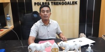 Kasatreskrim Polres Trenggalek, Iptu Agus Salim di ruang kerjanya. Foto: Bacaini/Aby
