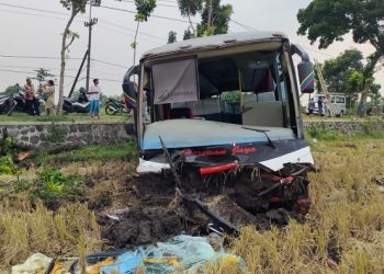 Nyalip di Tikungan, Bus Harapan Jaya Masuk Sawah