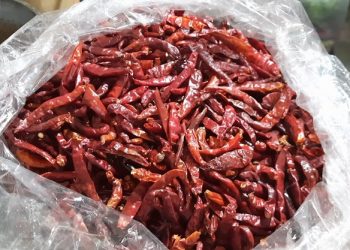 Lebih Murah, Cabai China Serbu Pasar Trenggalek