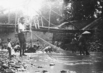 Berburu Ikan Mabuk Sudah Ada Sejak Kerajaan Airlangga
