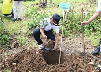 Hari Desa Asri Nusantara, Pemkab Trenggalek Tanam 50 Ribu Bibit Pohon